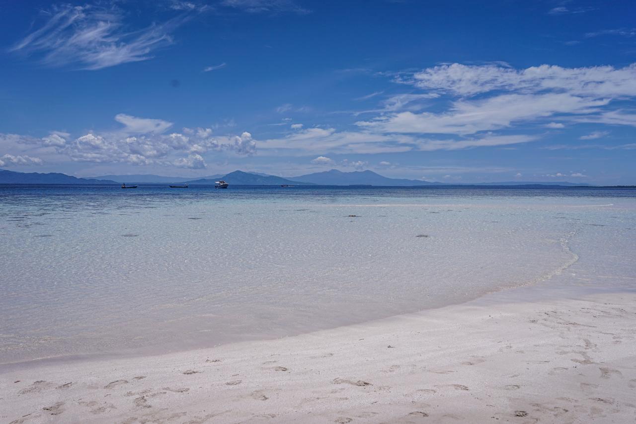 WhatsApp Image 2025-10-07 at 22.48.53